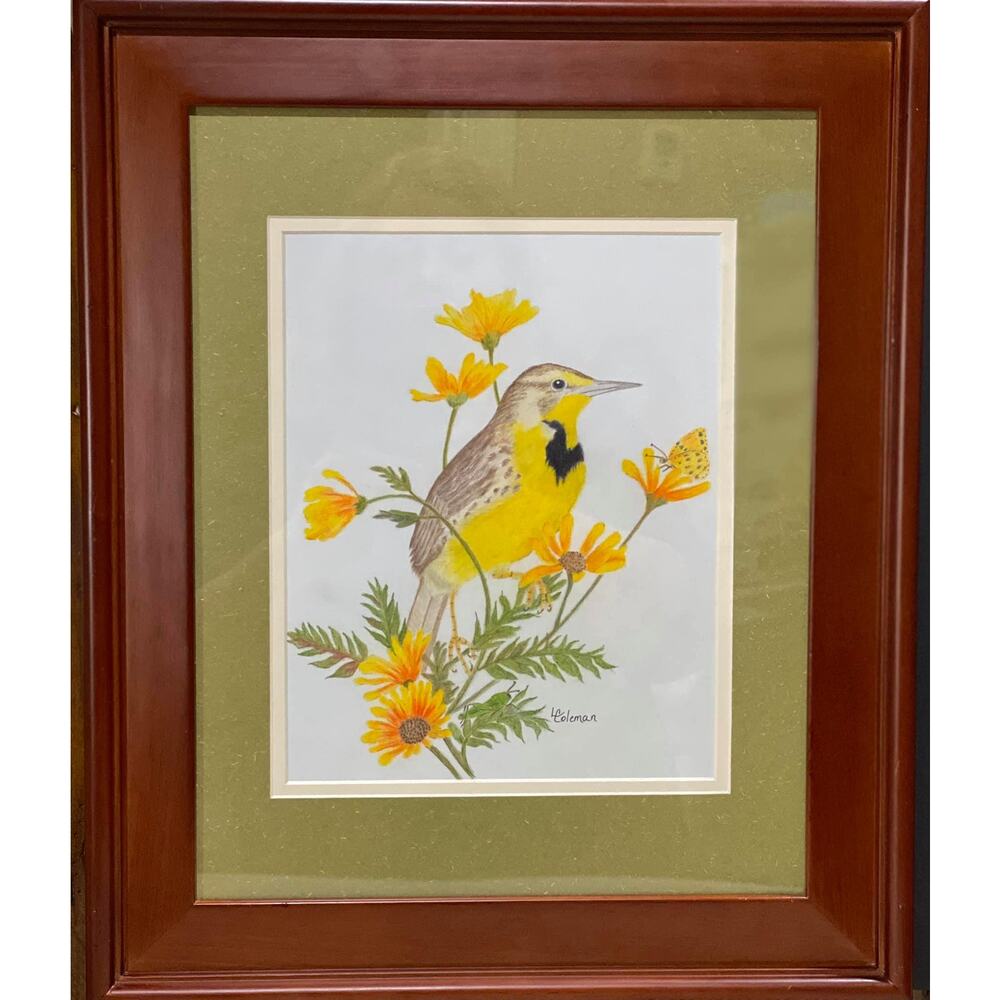 Meadowlark Bird Framed Medium Pastels  by Artist Lisa Coleman-  11x14